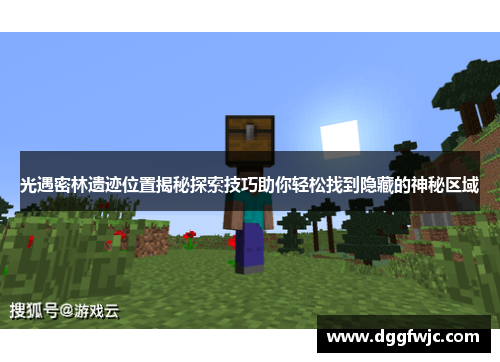 光遇密林遗迹位置揭秘探索技巧助你轻松找到隐藏的神秘区域